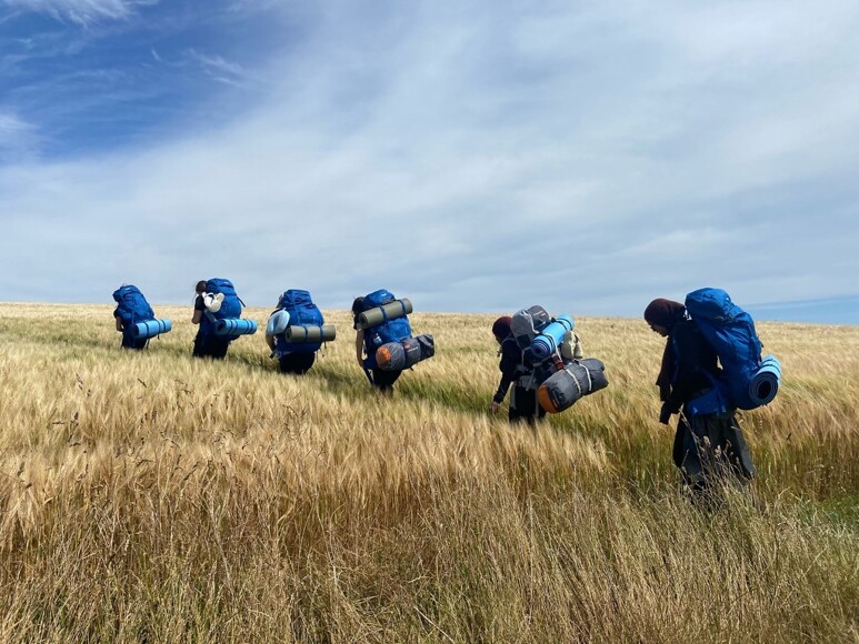 Best barley pic silver